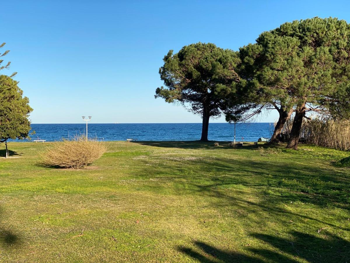 Residence Santa Lucia, Studio Avec Piscine , Vue Mer Et Pied Dans L'Eau , Moriani-Plage Esterno foto